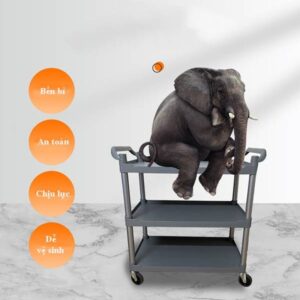 htx xe day don ban nhua khung nhom co khay dung ht08173 34