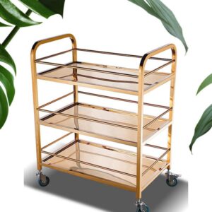 htx xe day phuc vu ruou do an inox vang htwy 40 g 33