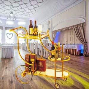 htx xe day phuc vu ruou inox ma vang htwy 48 31