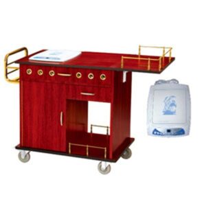 Xe phục vụ bàn có bếp từ di động WY-29